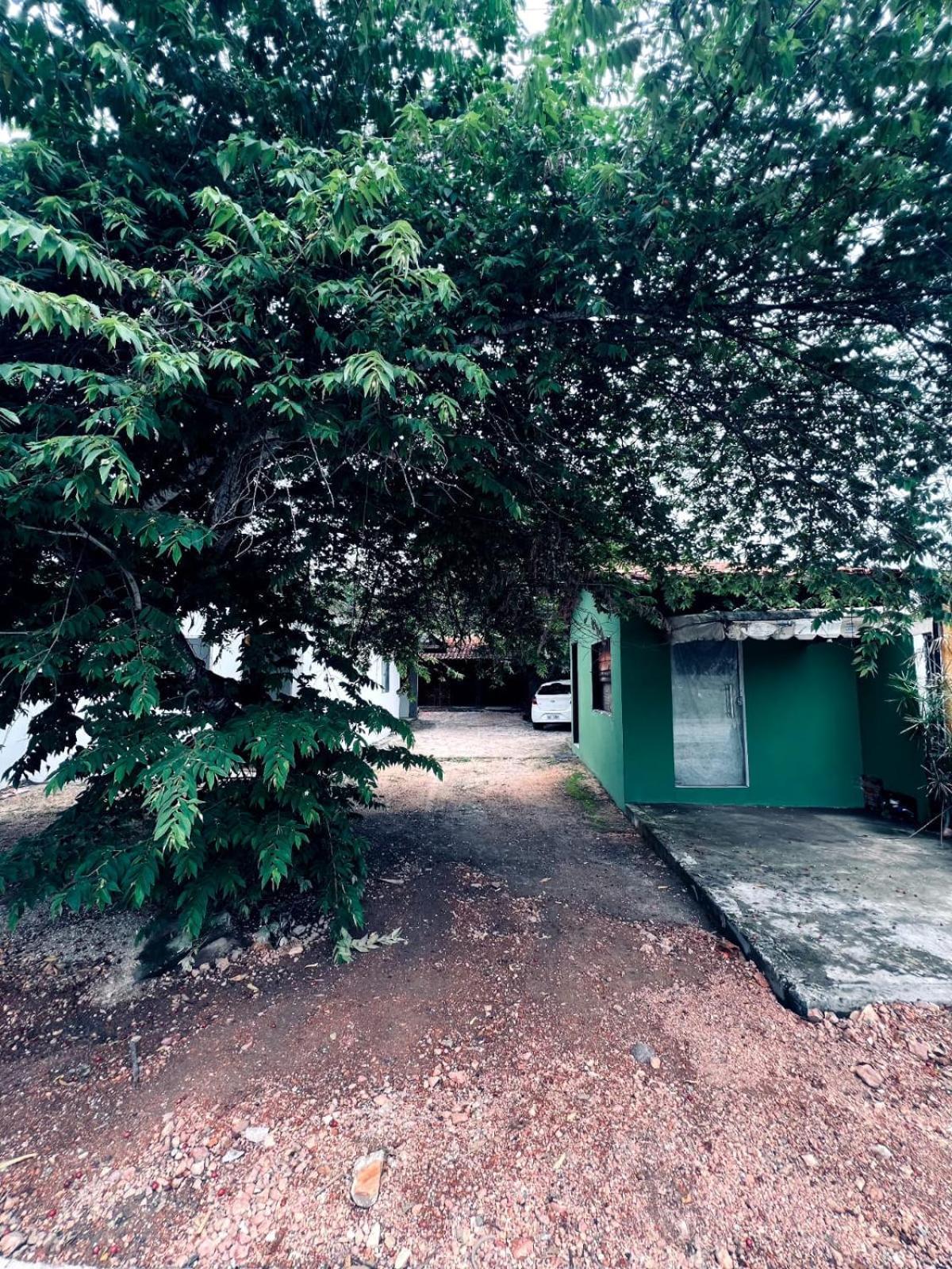 Casa Tamboril Apartman São Jorge Kültér fotó